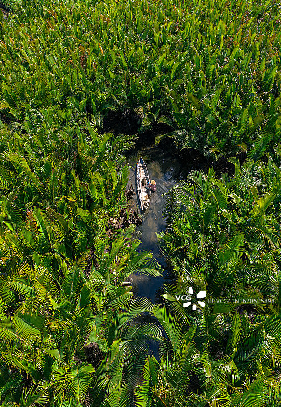在尼帕棕榈丛林中捕鱼图片素材