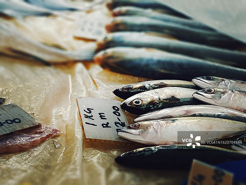 鱼市场图片素材