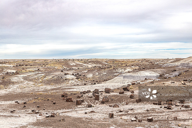石化森林国家公园碧玉森林全景图片素材