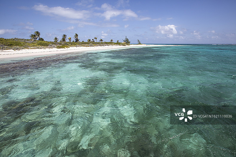 加勒比海的碧绿海水、沙滩和棕榈树图片素材