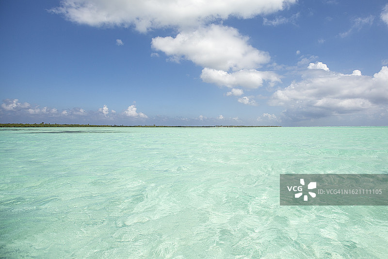 加勒比海的鲜绿色海水，头顶是蓝天图片素材