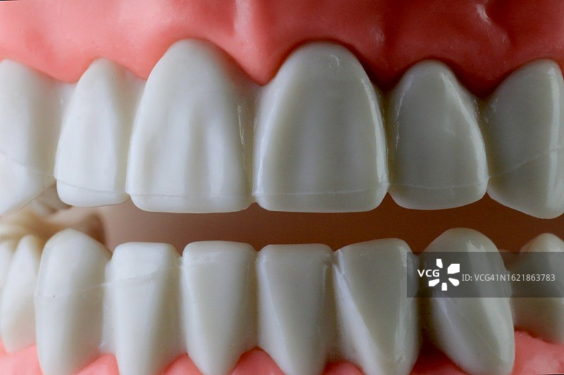 假牙特写图片素材
