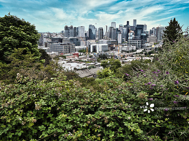 西雅图城市景观图片素材