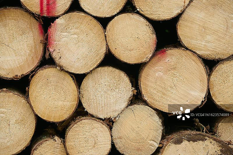 木堆、原木、云杉、冷杉，波西米亚森林，捷克共和国图片素材