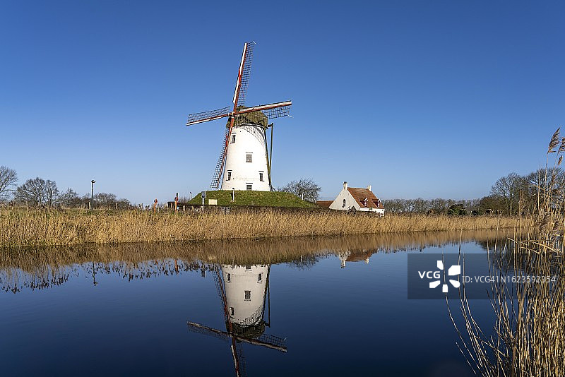 比利时西弗兰德省达默市的斯凯勒莫伦风车图片素材