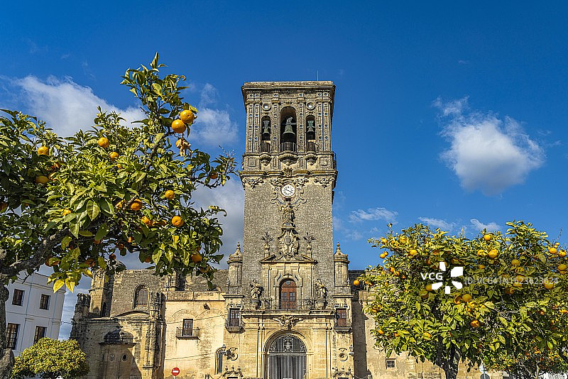 西班牙安达卢西亚阿尔科斯-德拉弗龙特拉的橘子树和圣母升天大教堂图片素材