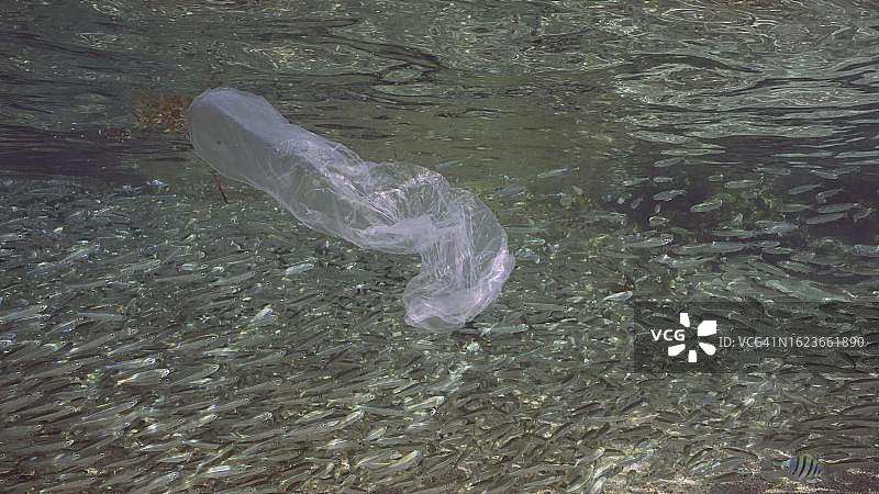 阳光明媚的日子里，塑料袋在水面下漂流反射，一大群小鱼在背景中游动，海洋塑料污染，红海，埃及图片素材