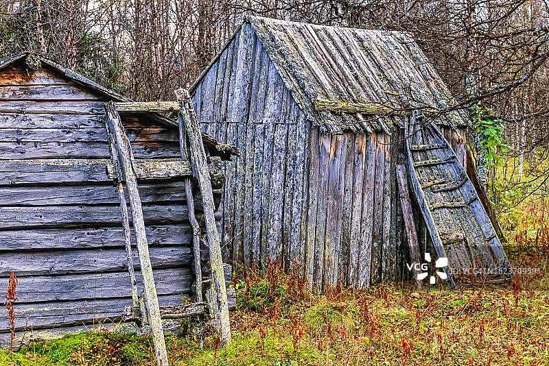 瑞典拉普兰秋季森林中的萨米文化建筑和雪橇图片素材