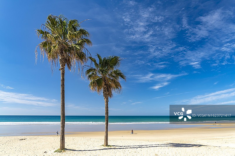 西班牙安达卢西亚科尼尔海滩的棕榈树图片素材