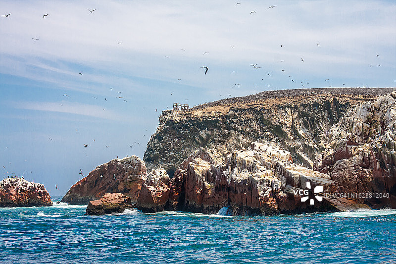 秘鲁帕拉卡斯巴列斯塔斯群岛图片素材