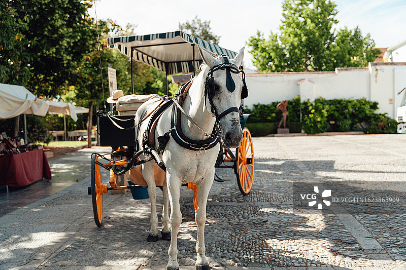 阳光明媚的日子里公园里的马车，旅行和度假图片素材