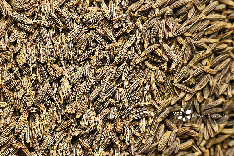 孜然芹图片素材