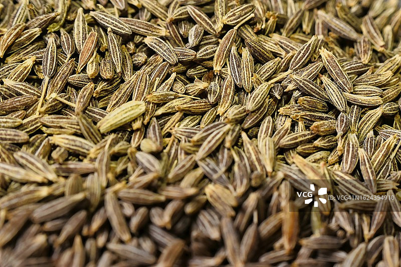 孜然芹图片素材