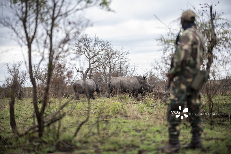 南非反盗猎和保护行动员图片素材
