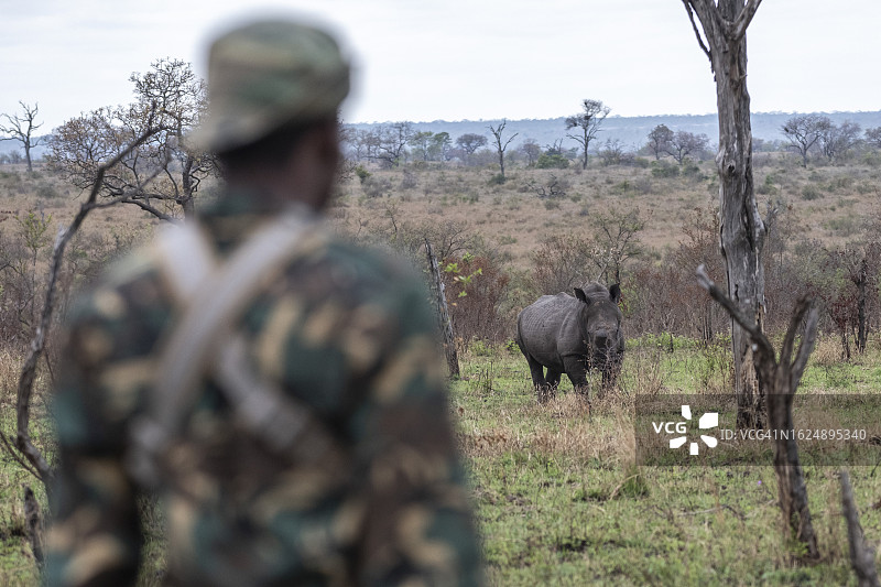南非反盗猎和保护行动员图片素材