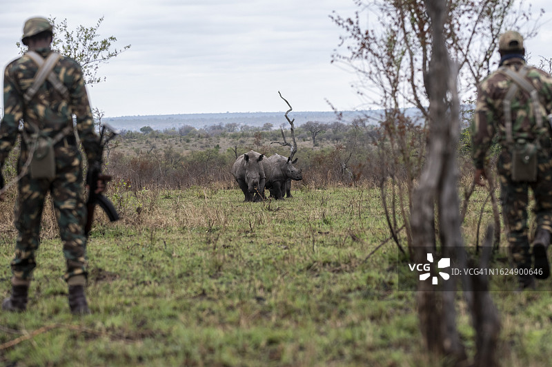 南非反盗猎和保护行动员图片素材
