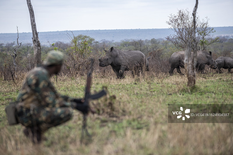 南非反盗猎和保护行动员图片素材