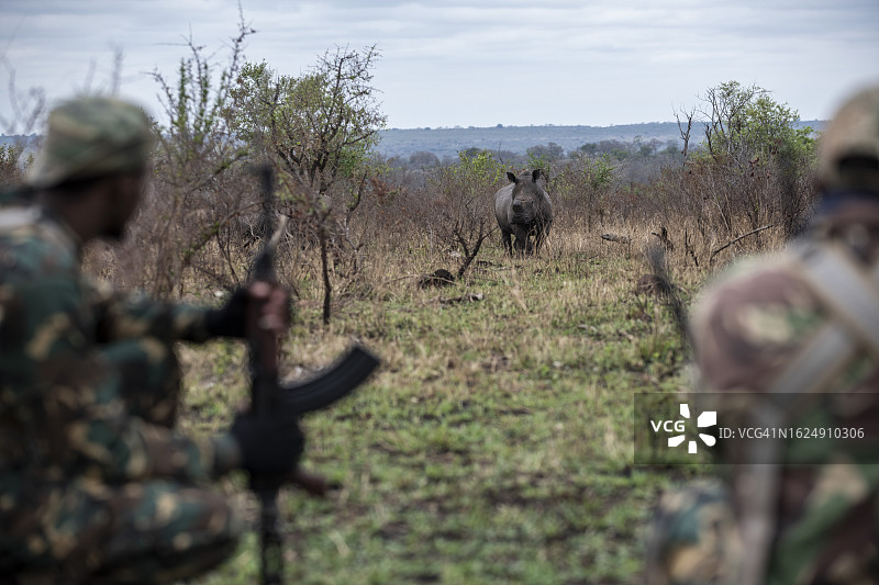 南非反盗猎和保护行动员图片素材