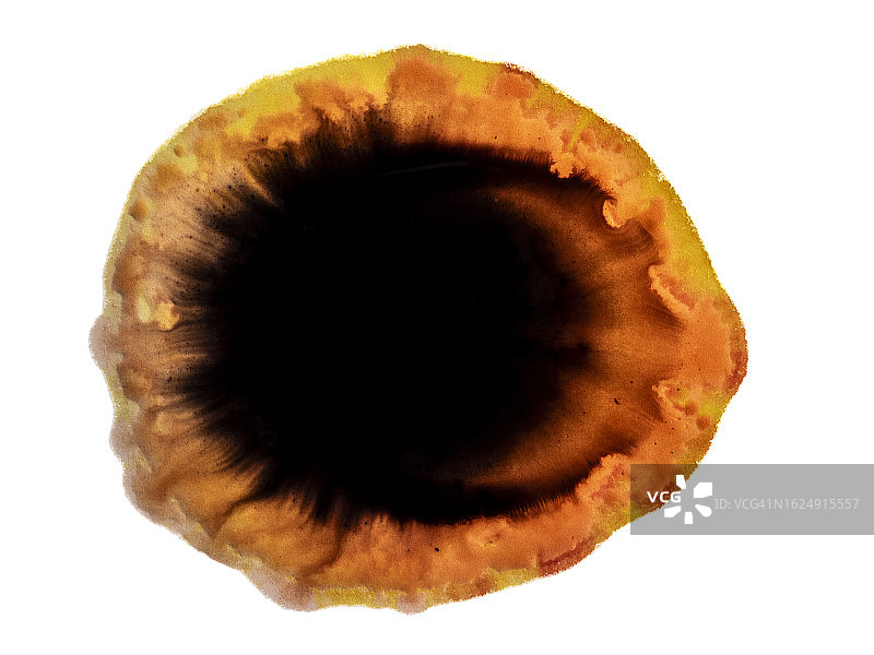 白色画布上的棕色和黑色液体分子混合物图片素材