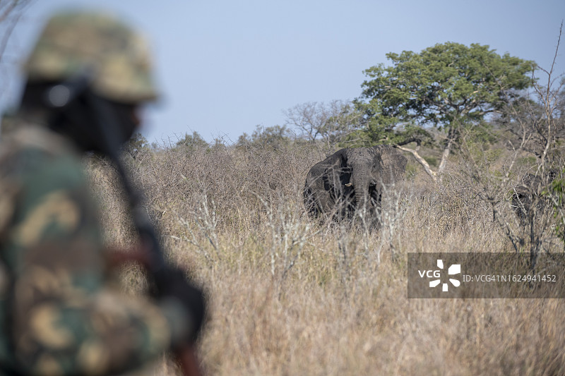 南非反盗猎和保护行动员图片素材