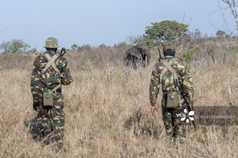 南非反盗猎和保护行动员图片素材