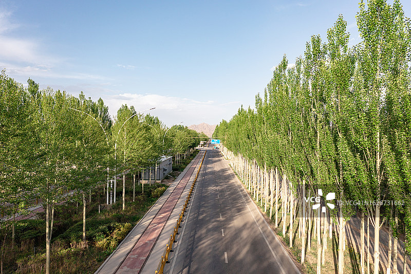 蓝天下道路和绿树图片素材