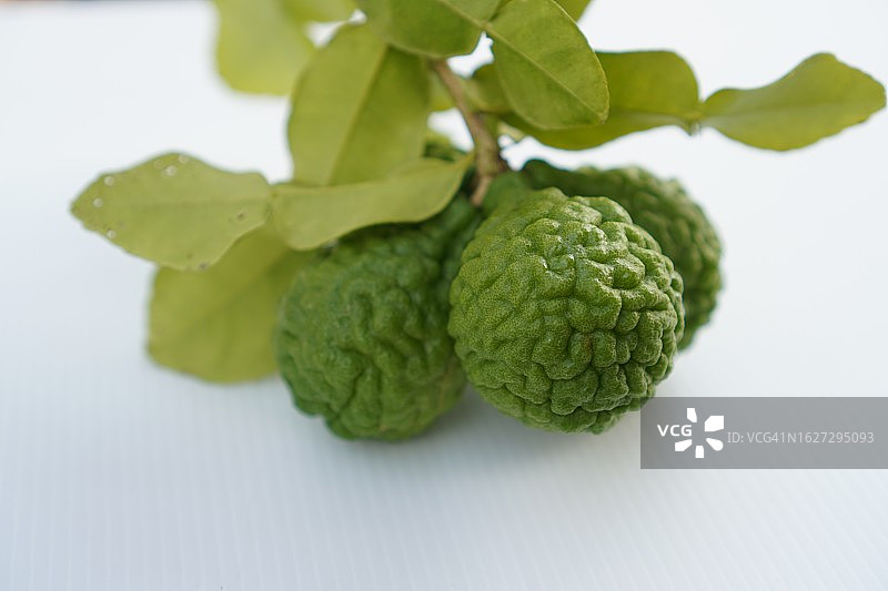 卡菲尔酸橙，粗皮绿皮蔬菜图片素材