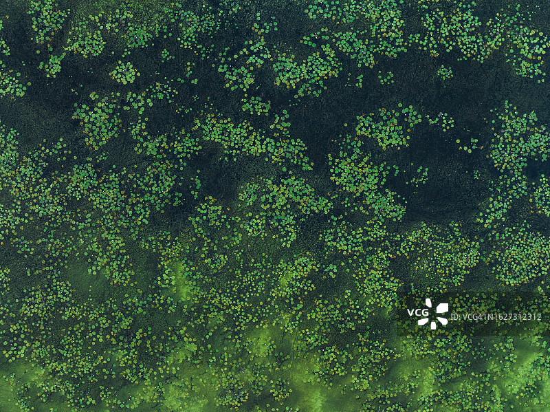 雨季期间从无人机角度拍摄的澳大利亚西澳大利亚州温德姆的奥德河湿地图片素材