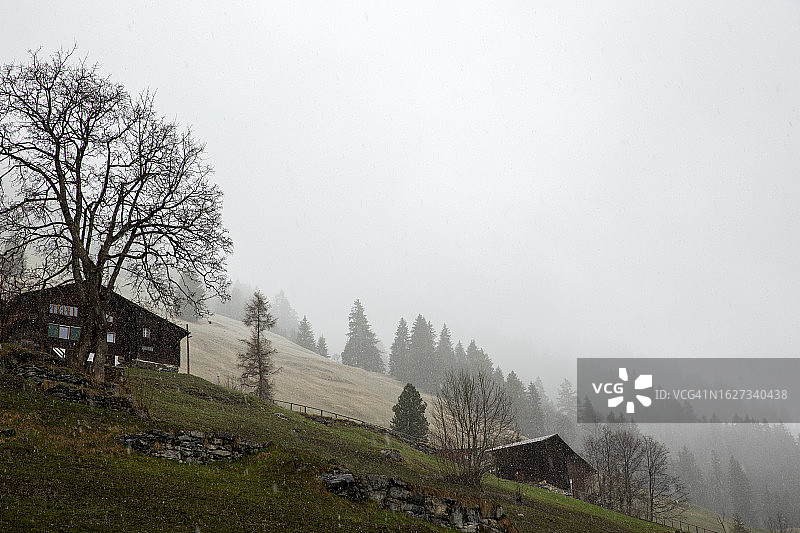 瑞士乡村木屋山丘雾景图片素材