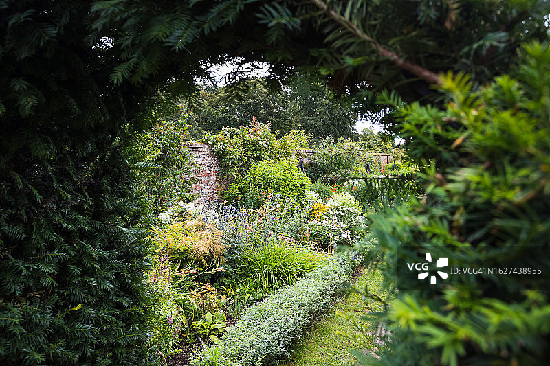 盛开的围墙花园图片素材