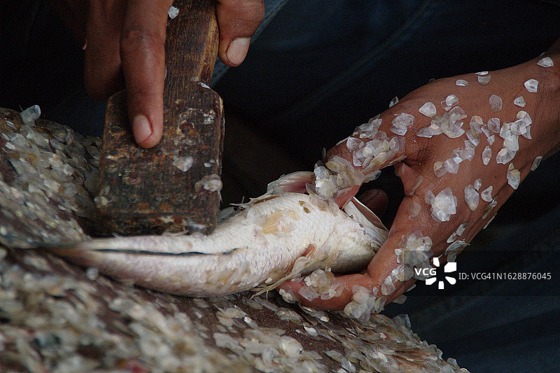 柬埔寨生活图片素材