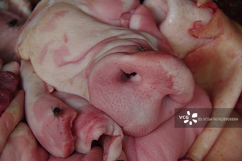 柬埔寨生活图片素材