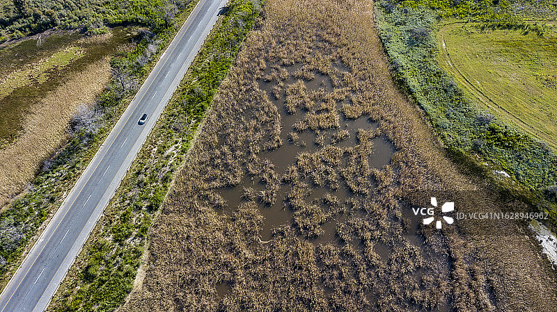 空中俯瞰湿地图片素材