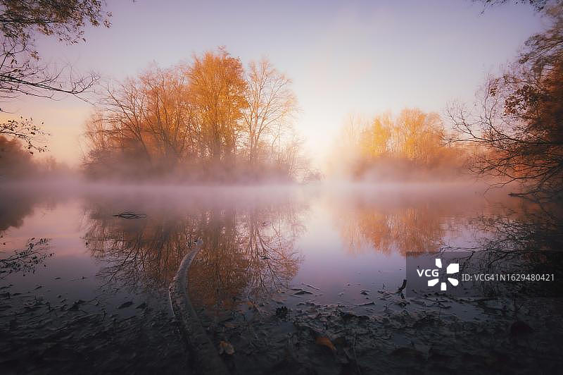 德国鲁尔区地面雾中秋树的黄色和橙色倒影图片素材