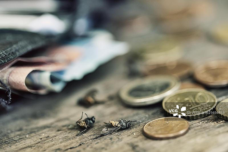 静物摄影：装有欧元和死苍蝇的钱包图片素材