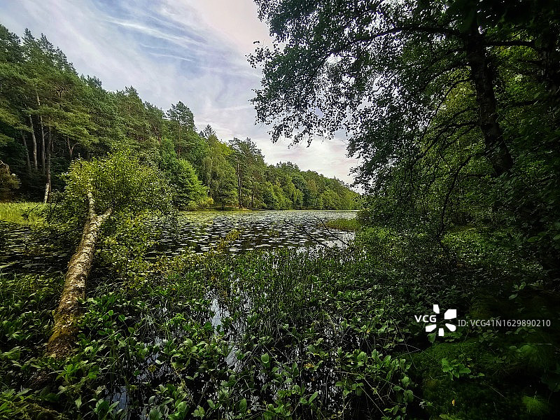 哥德堡西辛恩公园的自然美景图片素材