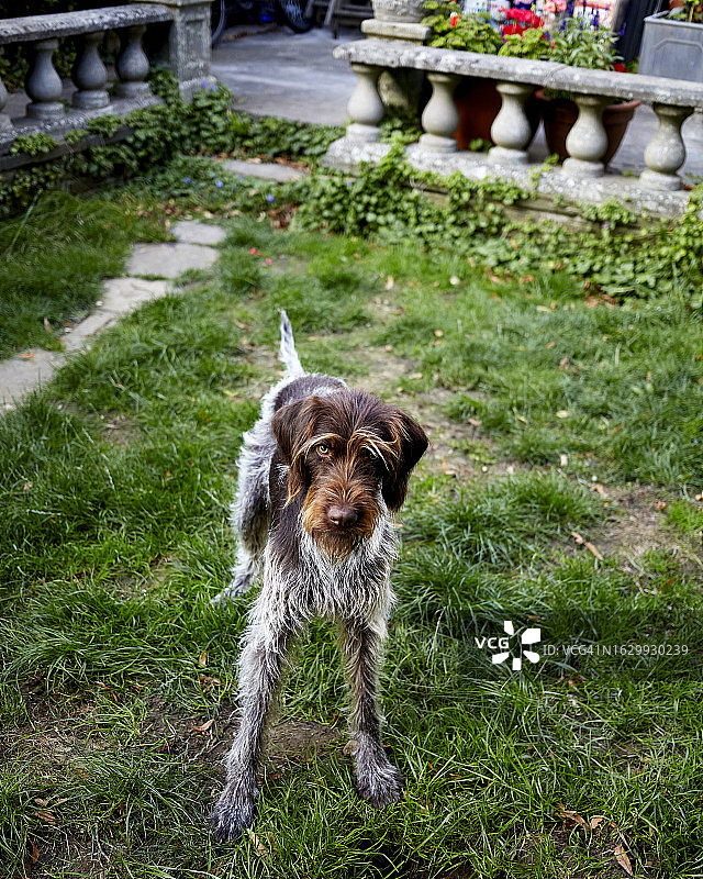 家居细节图片素材