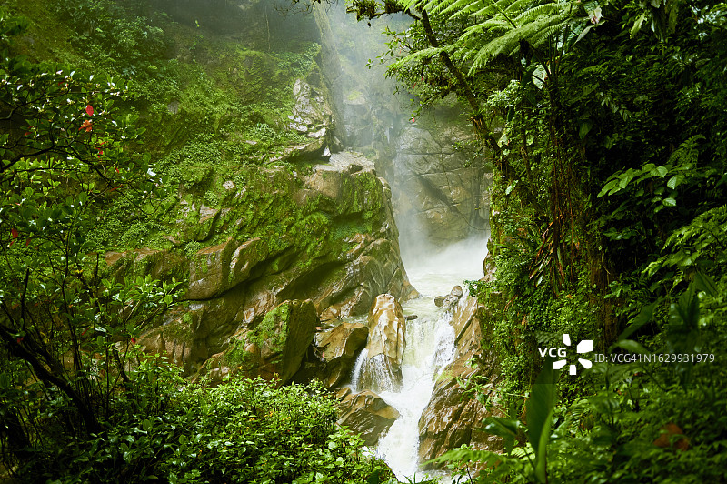 厄瓜多尔瀑布绿色森林景观图片素材