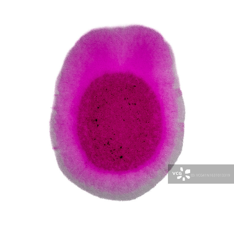 白色画布上的粉色液体分子混合图片素材