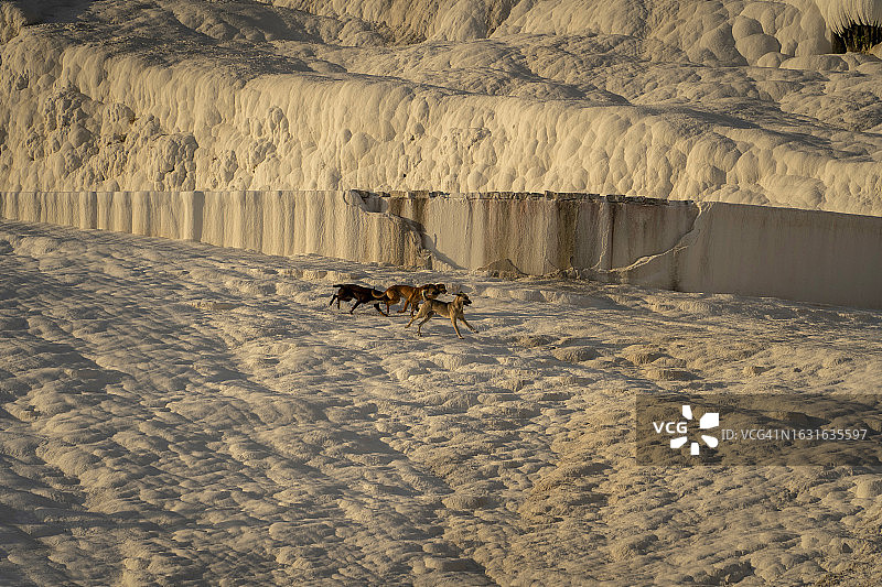土耳其棉花堡，水池和梯田景观图片素材