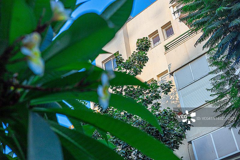 被热带植物环绕的公寓楼，以色列特拉维夫图片素材