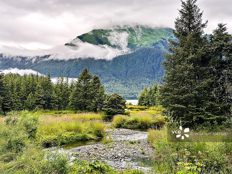 朱诺陡峭溪流周围的鲜艳绿色景观图片素材