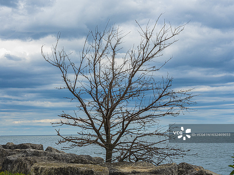 2023年7月13日 安大略湖-加拿大密西沙加 007图片素材