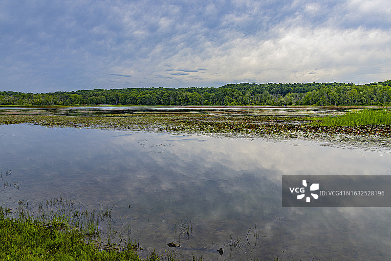 门登池塘公园(44)图片素材