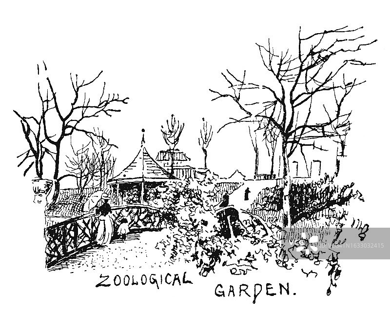 费城动物园古版画插图图片素材