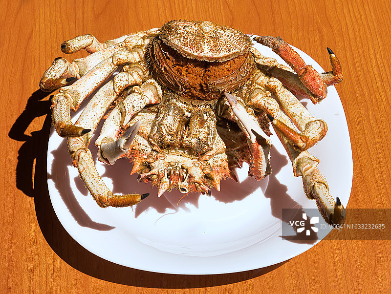 非加利西亚蜘蛛蟹图片素材