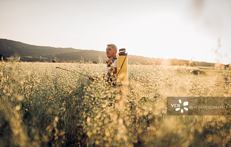 在麦田里劳作的农民图片素材