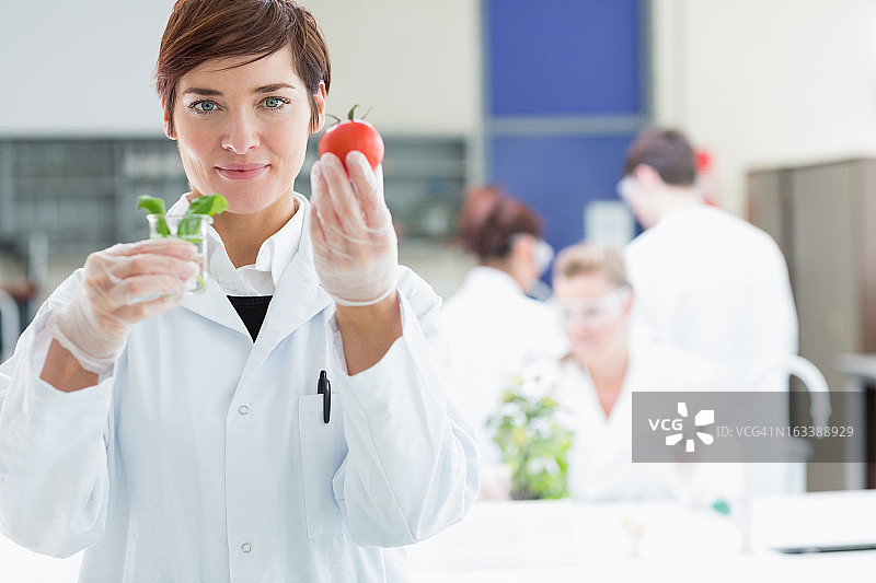 手持番茄和植物样本的女人图片素材