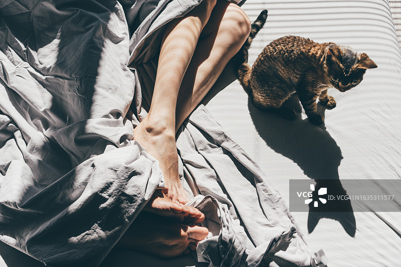 猫叫醒在床上睡觉的主人图片素材