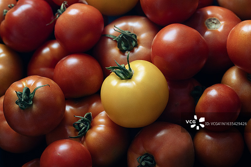 西红柿图片素材